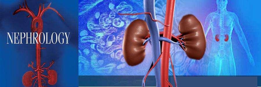 Choosing the Kidney Specialists in India