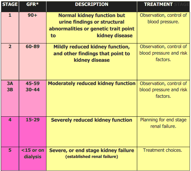 What Is 3 Stage Kidney Disease HealthyKidneyClub