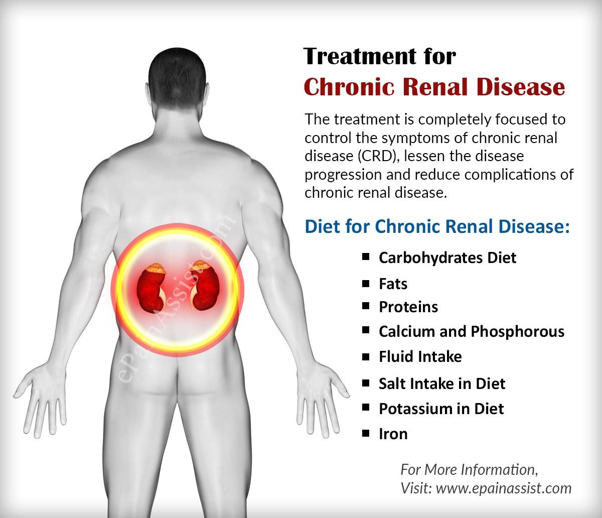 Chronic Renal Disease: Treatment &  Diet