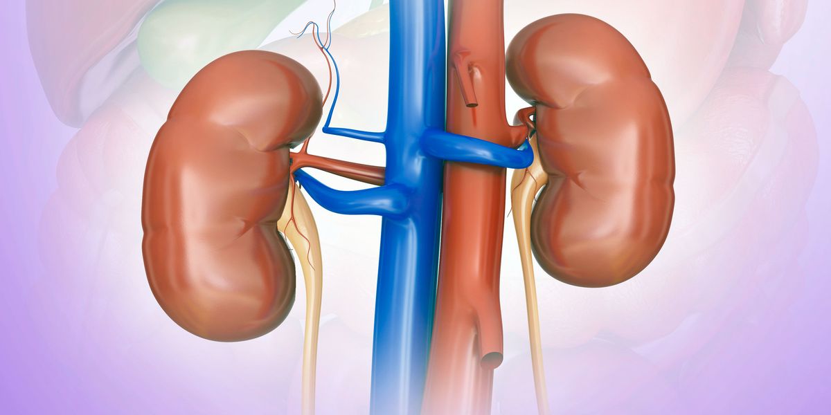 Common myths about kidney disease