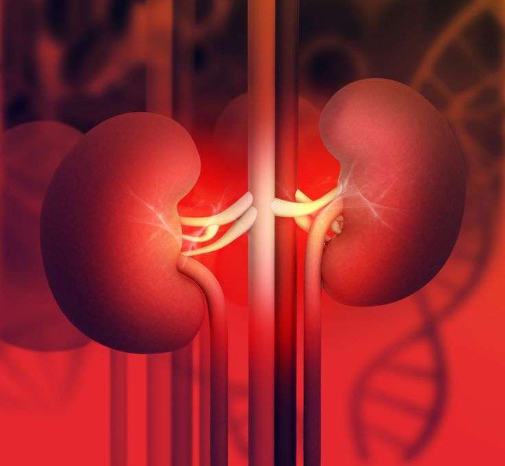 can-kidney-problems-cause-high-blood-sugar-healthykidneyclub