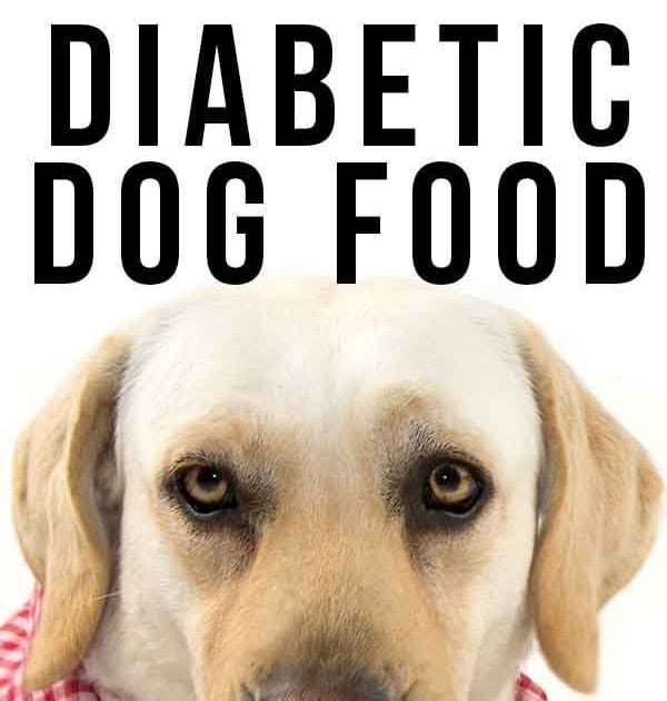 Diabetic Canine Nutritionist Recipes : Tuna Dog Treats Healthy Homemade ...