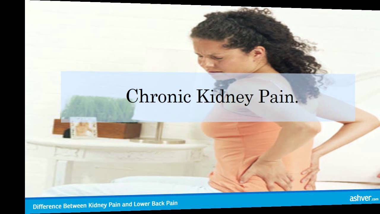 Difference Between Kidney Pain and Lower Back Pain