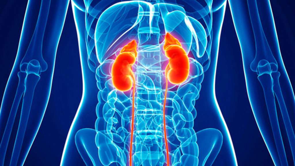 Disability Claims for Kidney Cancer