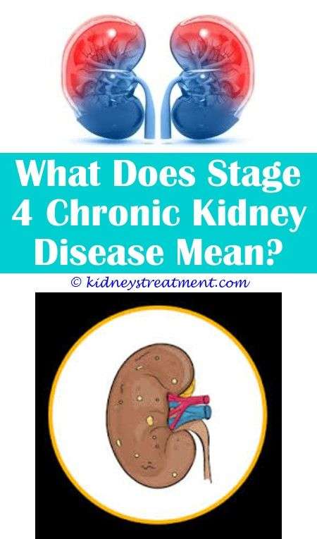 Do Kidney Infections Show Up In Urine Tests