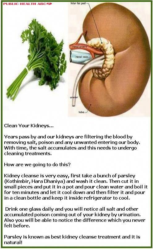 Do you know how to take care of your kidneys? Besides avoiding too much ...