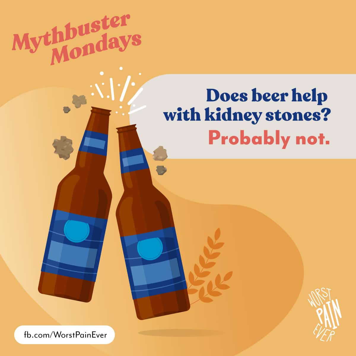 Does beer help with kidney stones? Probably not.