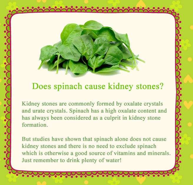 Does spinach cause kidney stones? Kidney stones are commonly formed by ...