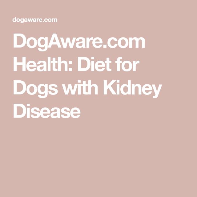 DogAware.com Health: Diet for Dogs with Kidney Disease