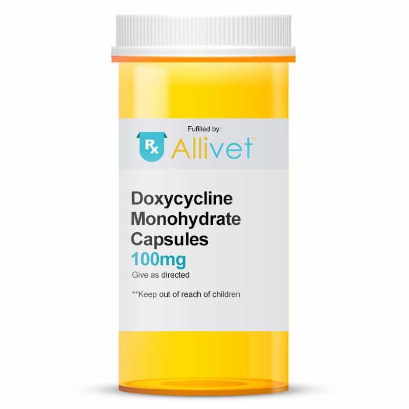 Doxycycline Monohydrate 100 Mg capsules for cats, dogs and horses