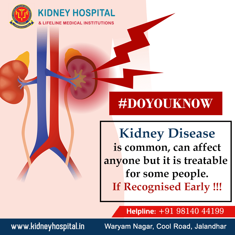 #DoYouKnow : Kidney Disease is common and can affect anyone but it is ...