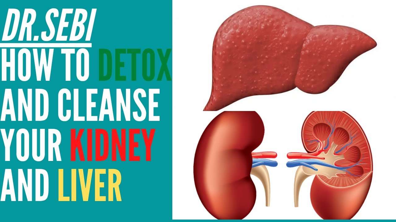 how-to-help-liver-and-kidney-function-healthykidneyclub