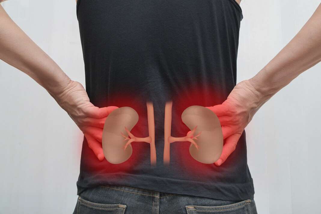 Foods Bad For Kidneys That Should Be Avoided