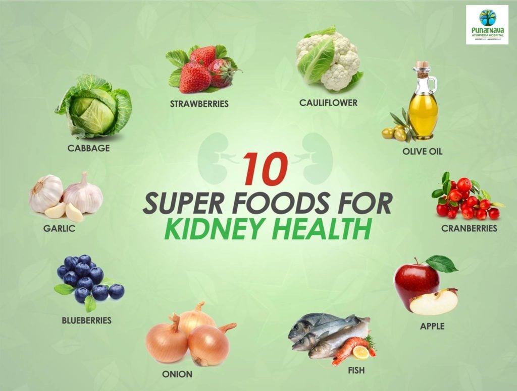 what-foods-can-improve-kidney-function-healthykidneyclub