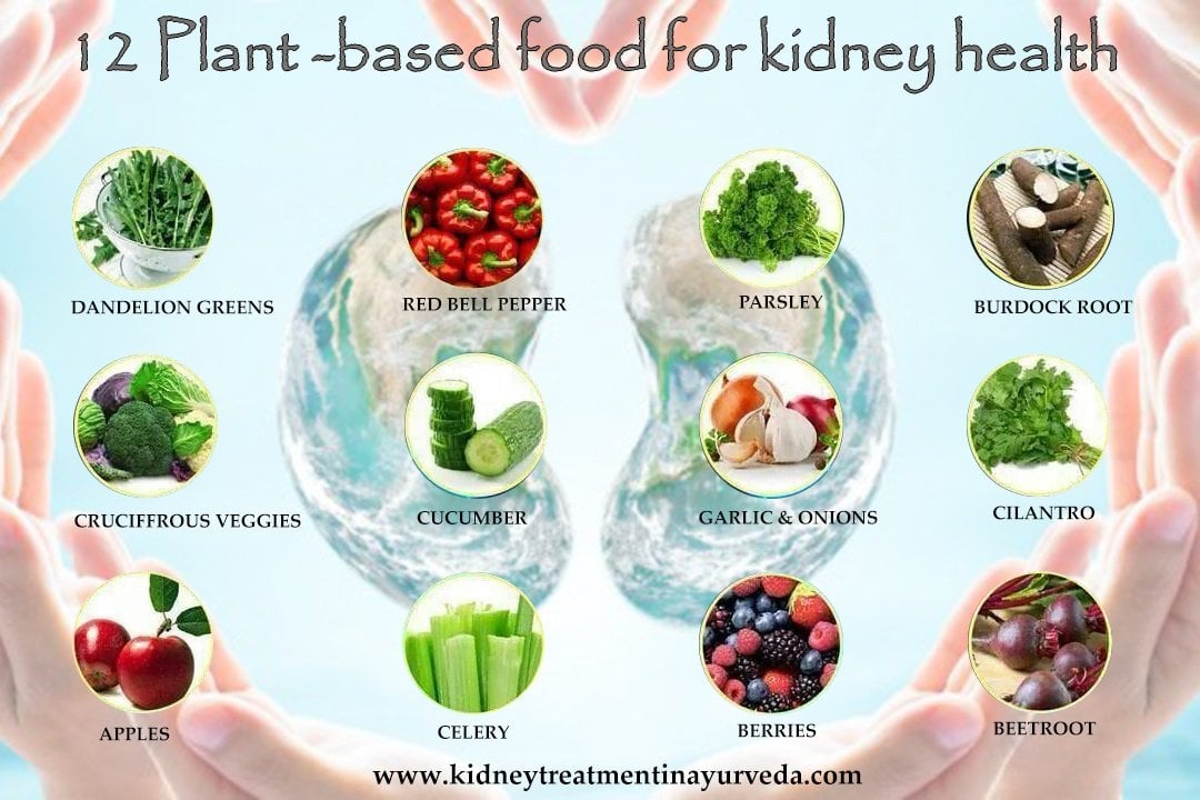 What Is Good For Kidneys