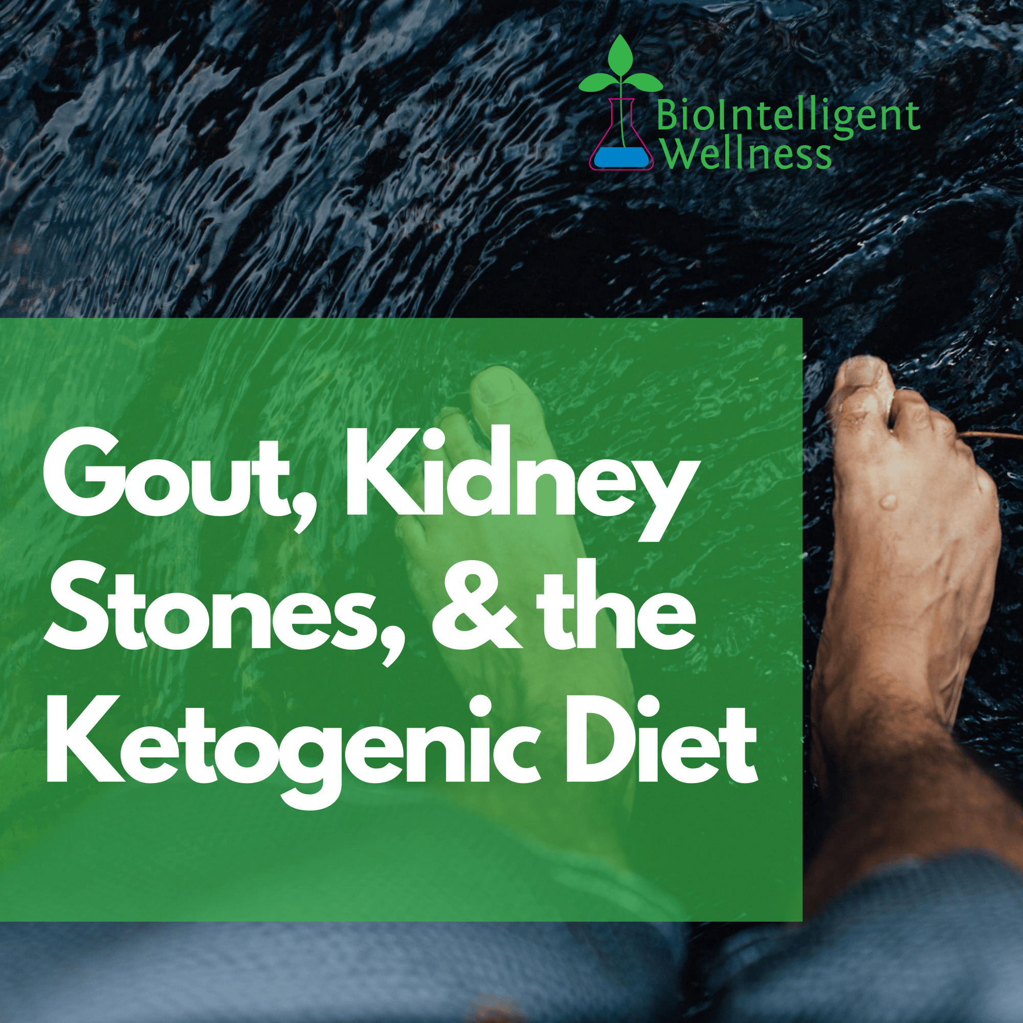 Gout, Kidney Stones, &  the Ketogenic Diet