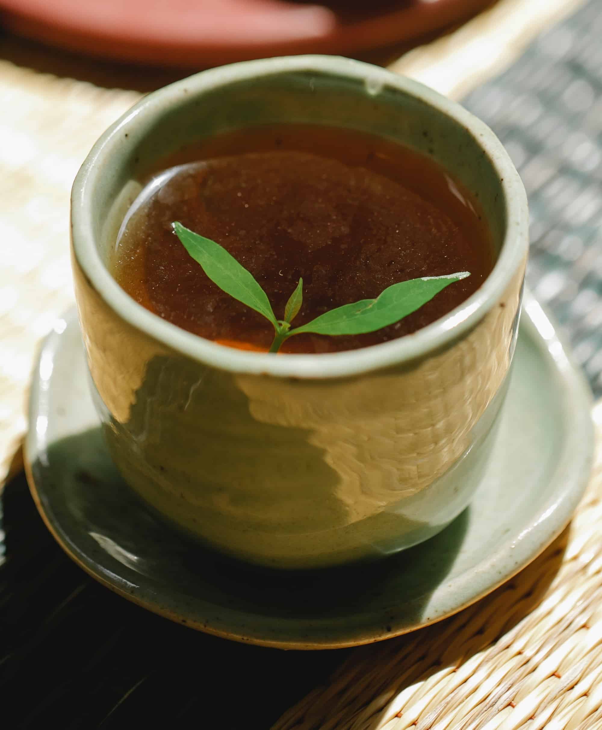Green Tea Good For Your Kidneys