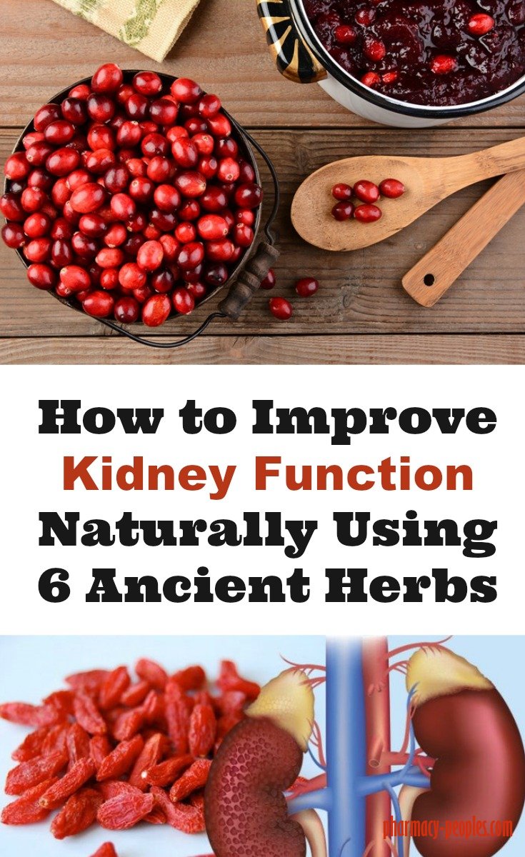 what-foods-can-improve-kidney-function-healthykidneyclub