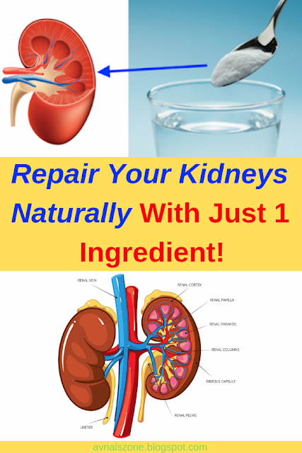 Healthy Beauty and Diet: Repair Your Kidneys Naturally ...