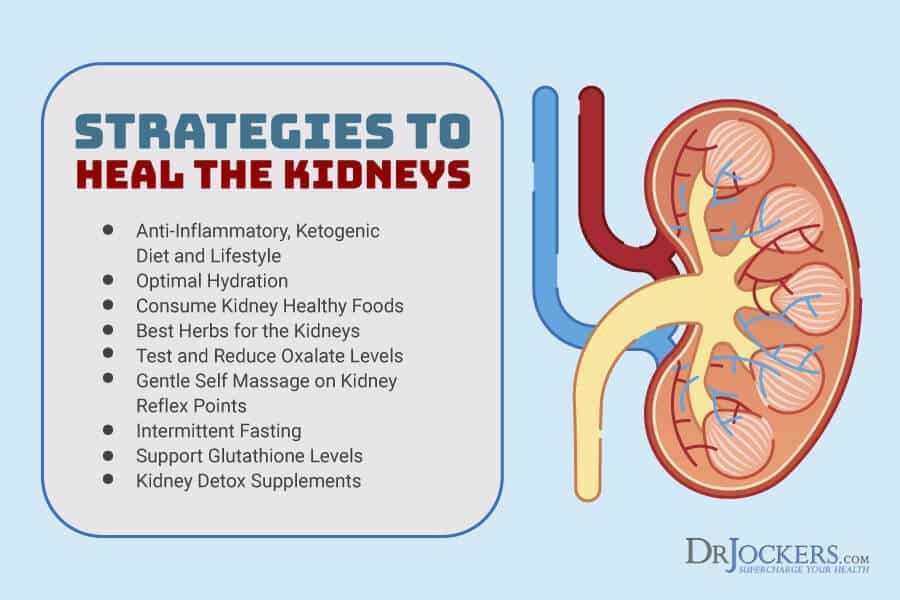 Healthy Kidneys: Best Foods and Natural Remedies