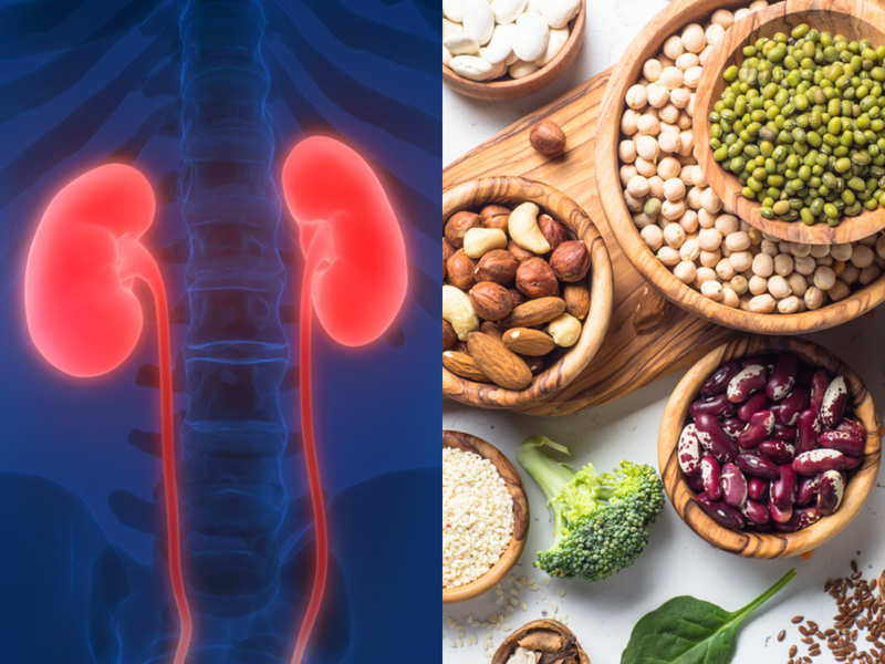 High Protein Effect on Kidneys: A high