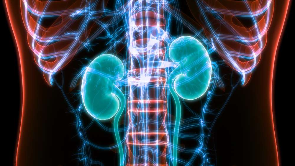 Can Crohns Affect Your Kidneys - HealthyKidneyClub.com