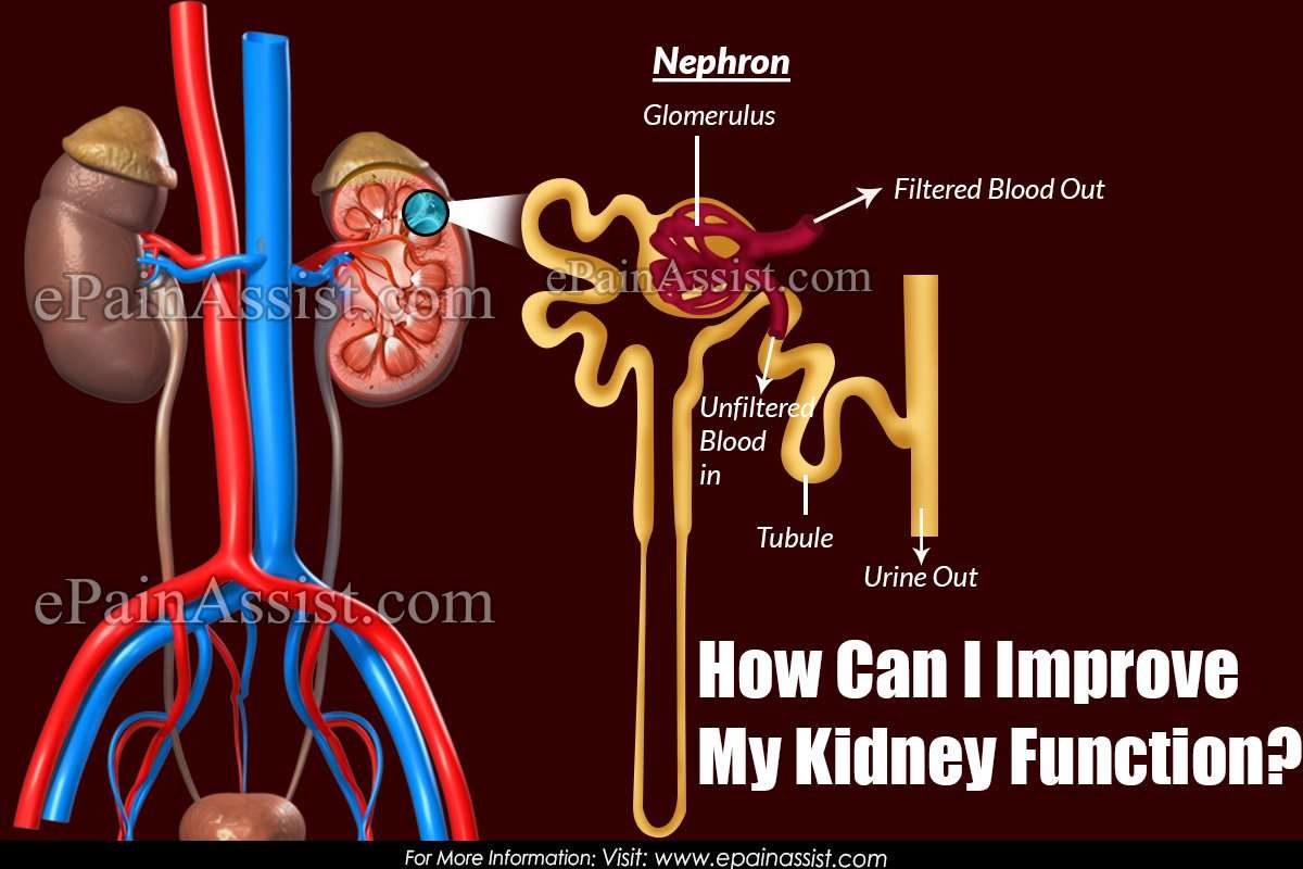 How Can I Improve My Kidney Function?