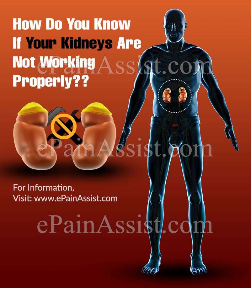 How Do You Know If Your Kidneys Are Not Working Properly?
