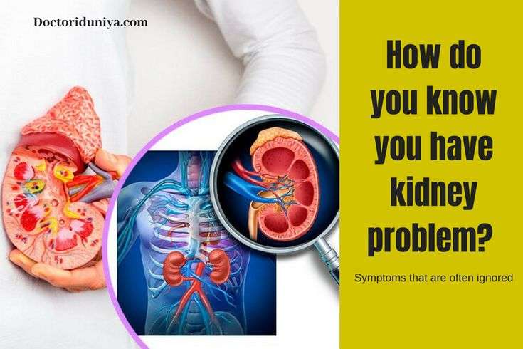 How do you know you have a kidney problem? What are the signs which are ...