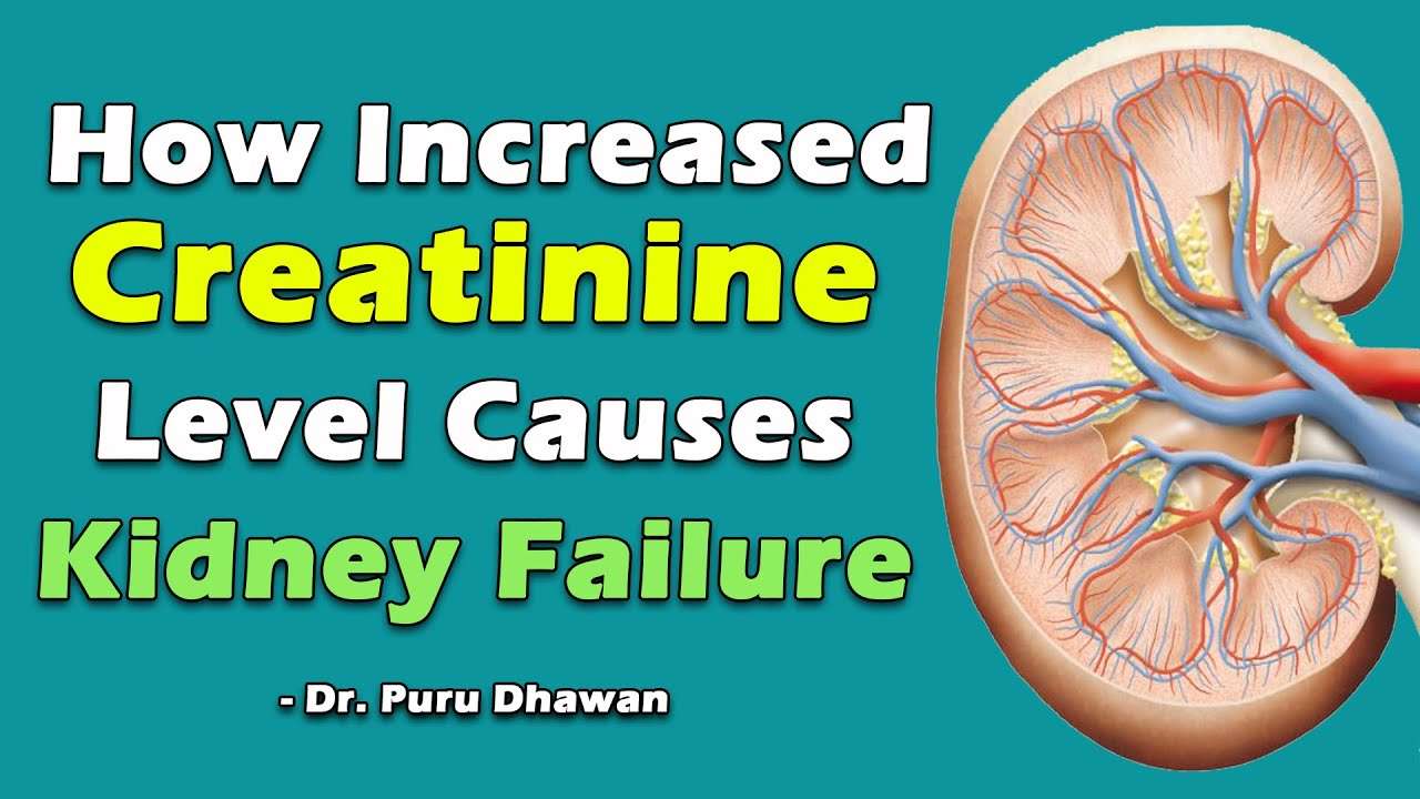 How Increased Creatinine Level Causes Kidney Failure
