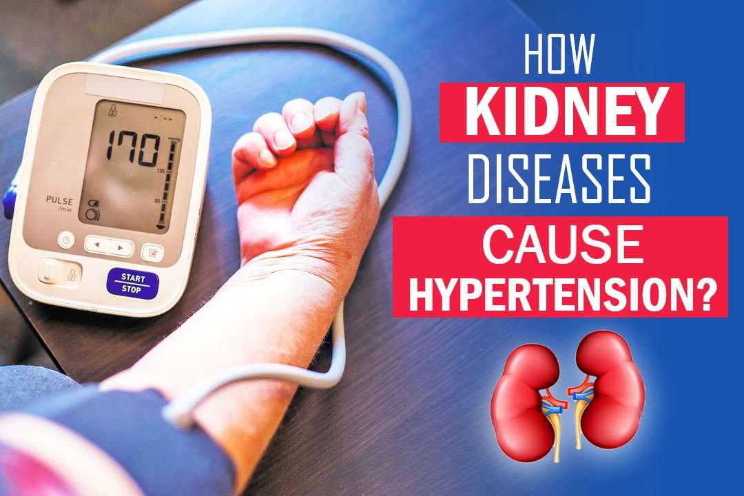How Kidney Disease Cause Hypertension?