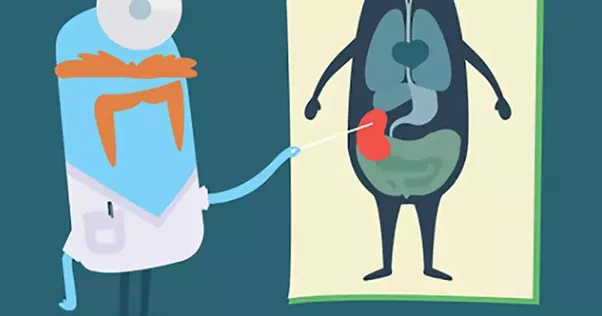 How long can a person live with only one kidney?