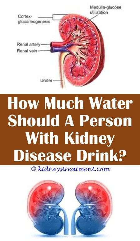 Can You Survive Kidney Disease HealthyKidneyClub