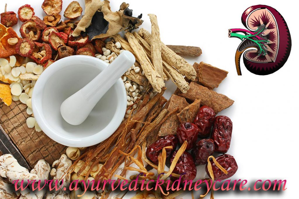 How Long Can You Live Stage 5 Kidney Failure Without Dialysis