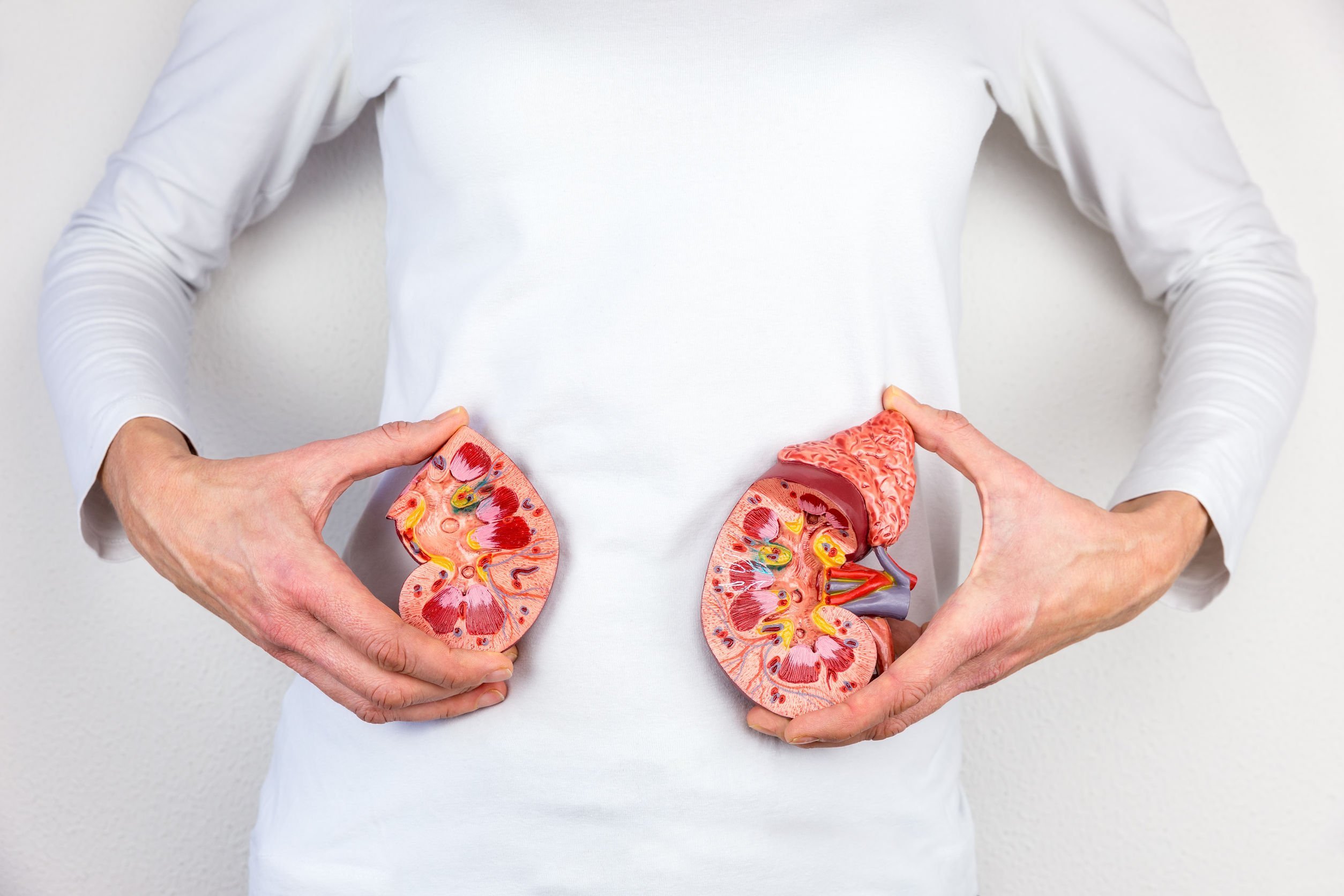How Long Can You Stay In Stage 3 Kidney Disease?