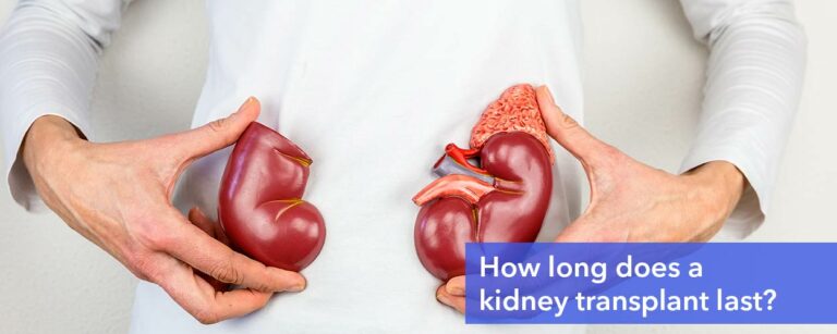 How Long Does a Kidney Transplant Last? How Much Does a ...