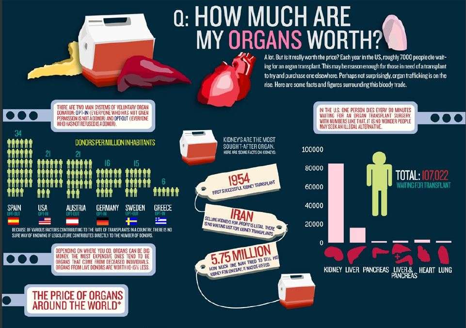 How Much are My Organs Worth? Your Worth More Than You ...