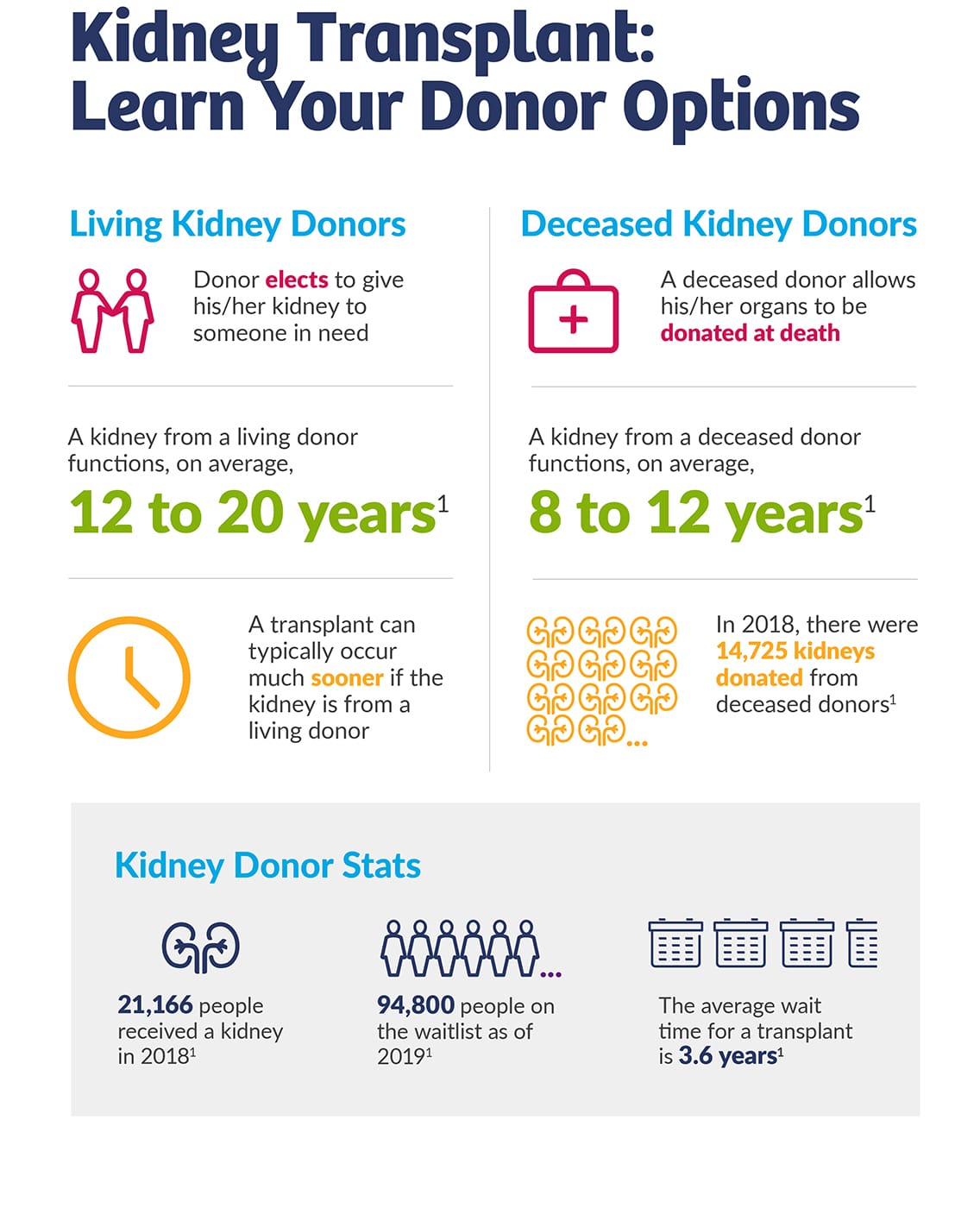 How Much Does Kidney Transplant Cost With Medicare