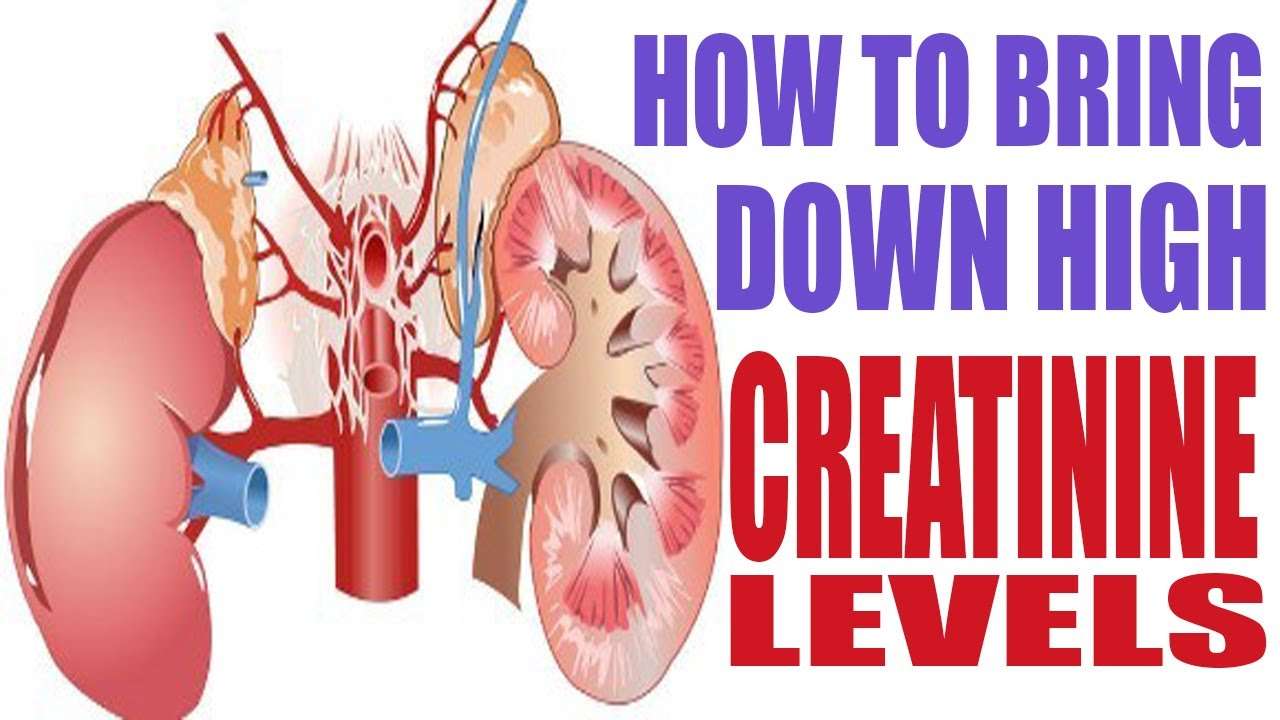 How to bring down or reduce high creatinine levels