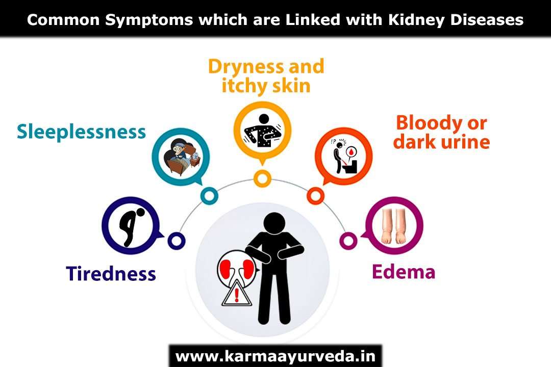 How to Check Kidney Function At Home