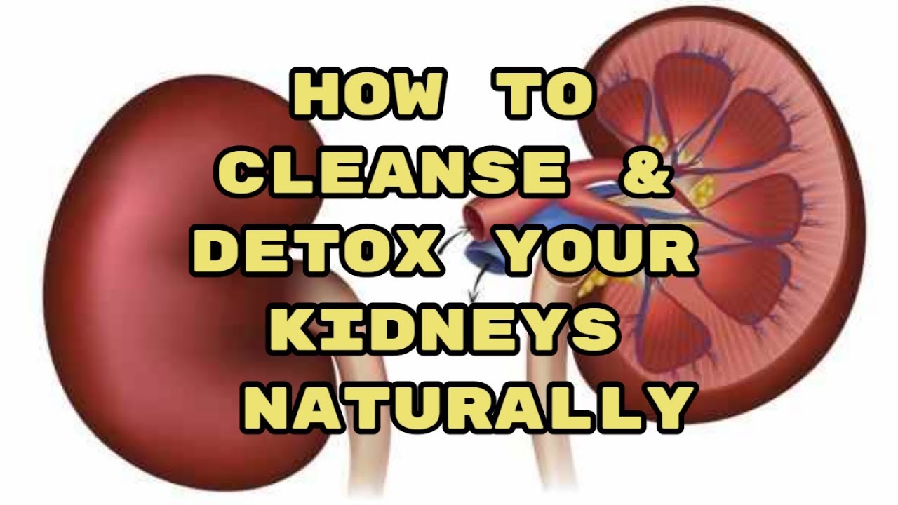 How to Cleanse &  Detox Your Kidneys Naturally