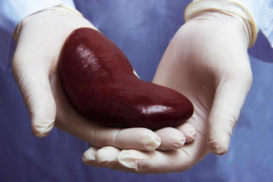 How To Detect Kidney Organ Transplant Rejections: CRISPR ...