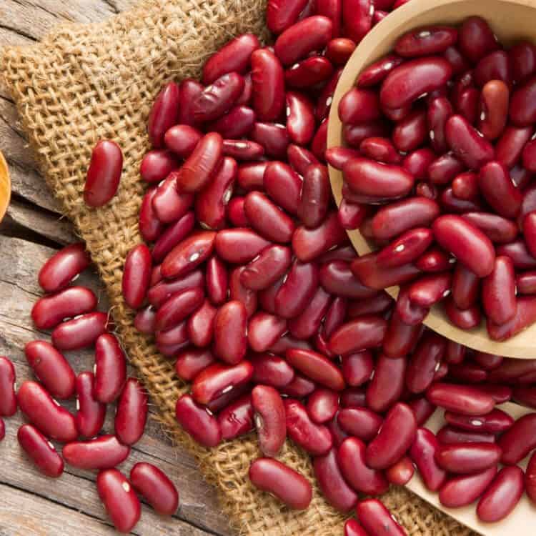 How to Grow Red Kidney Beans