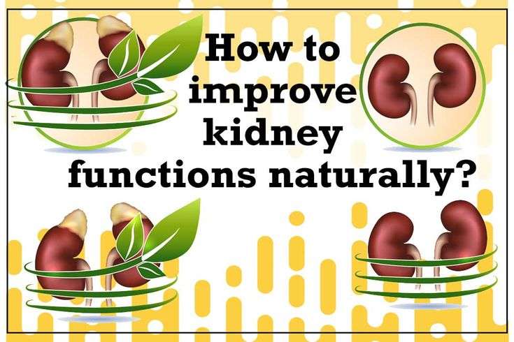 How to Improve Kidney Functions Naturally?? # ...