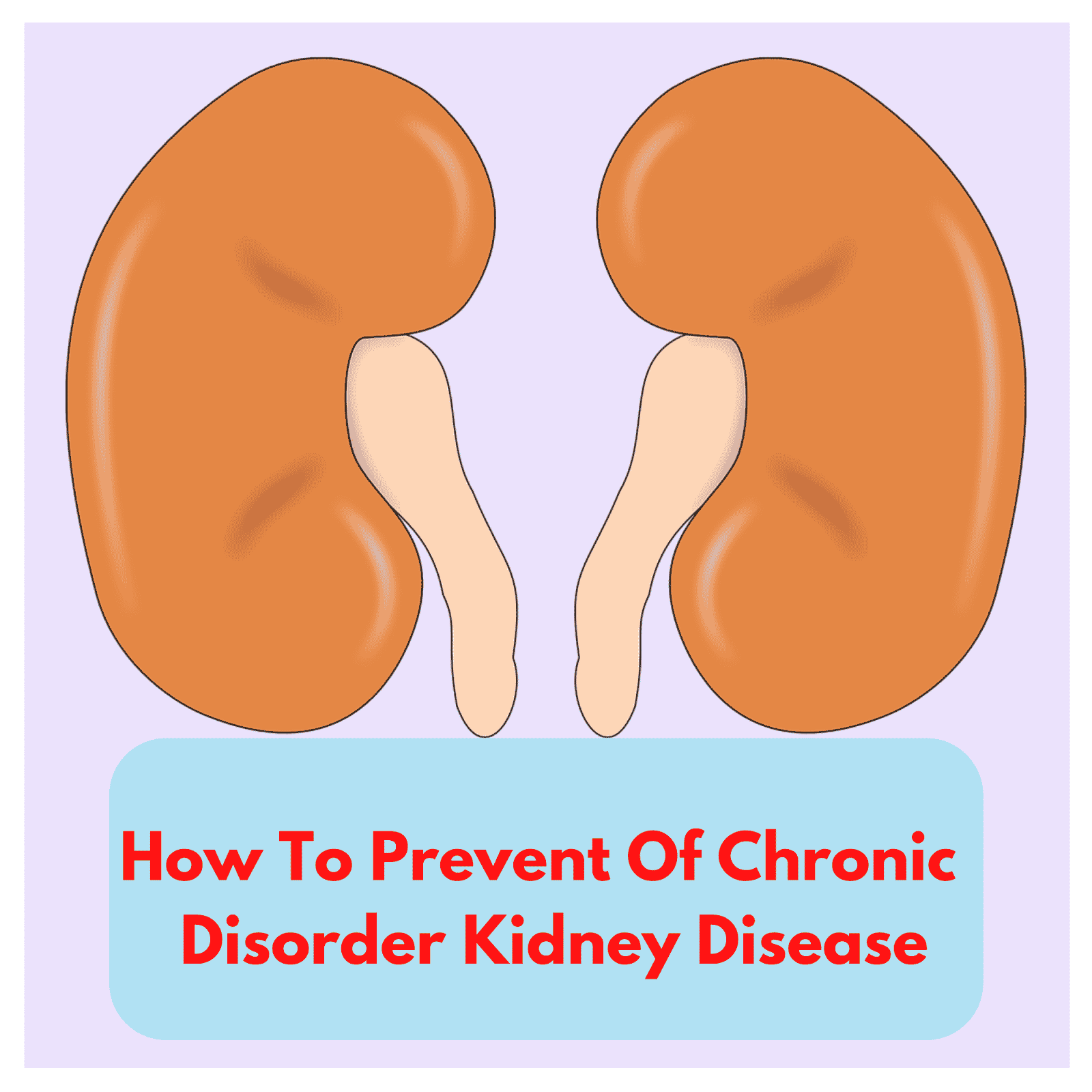 How To Prevent Of Chronic Disorder Kidney Disease