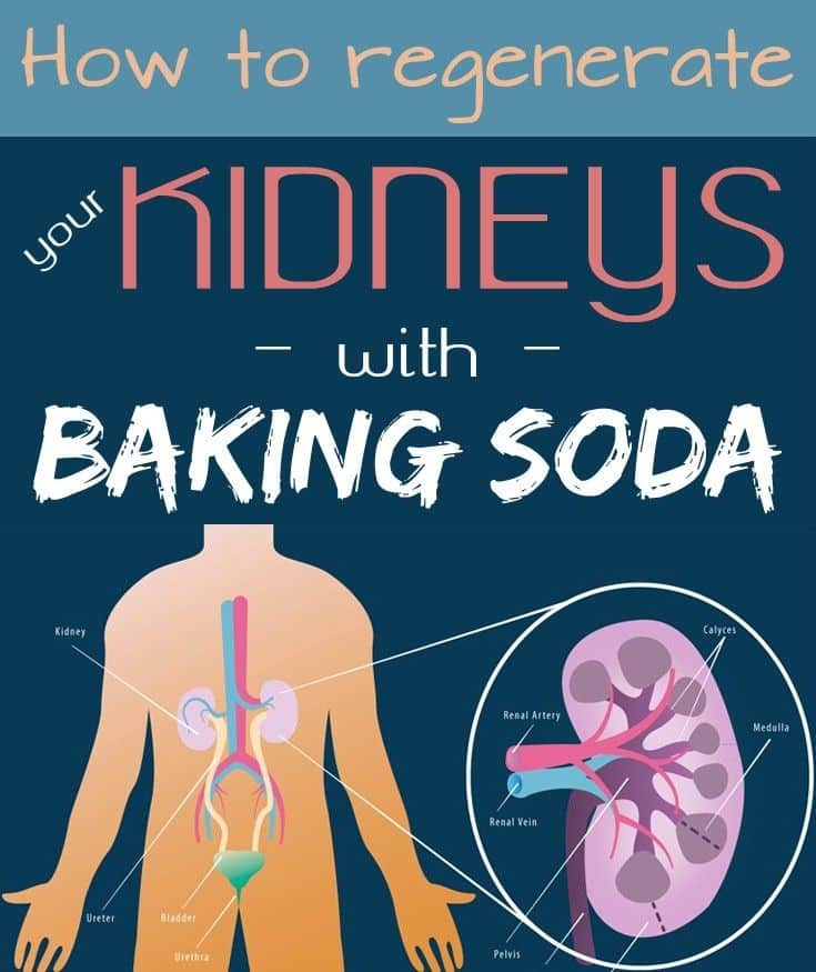 How to regenerate your kidneys with baking soda