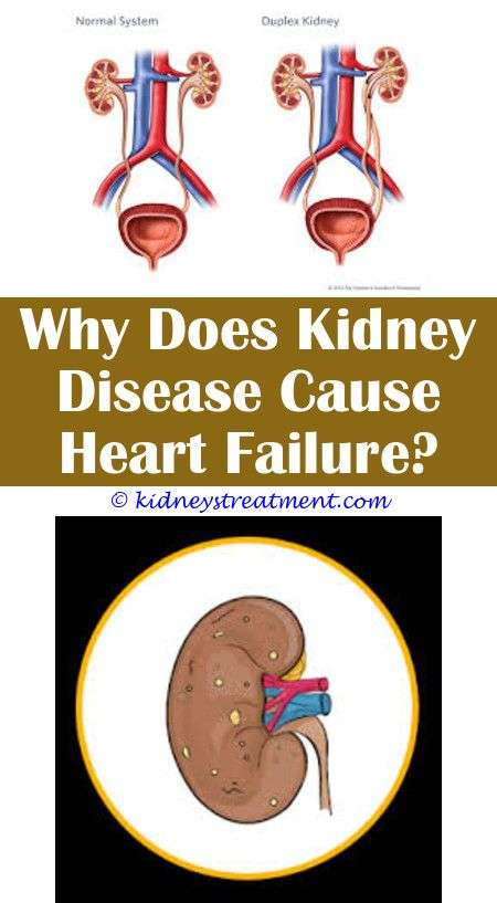 How To Reverse Chronic Kidney Disease Stage 2