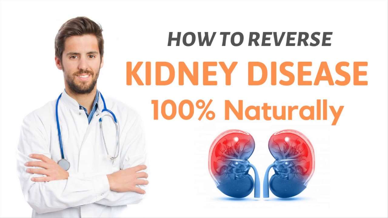 How To Reverse Kidney Disease Naturally - HealthyKidneyClub.com