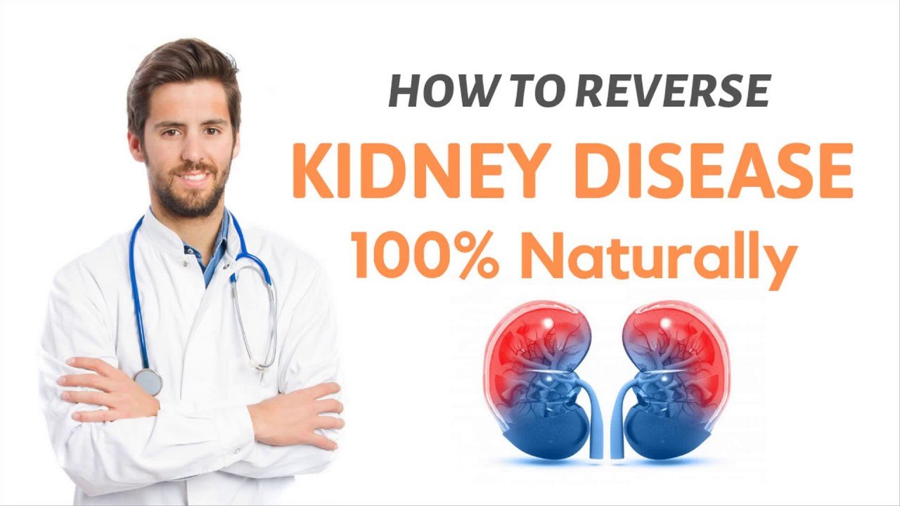 How to Reverse Kidney Disease 100% naturally? Is that true ...
