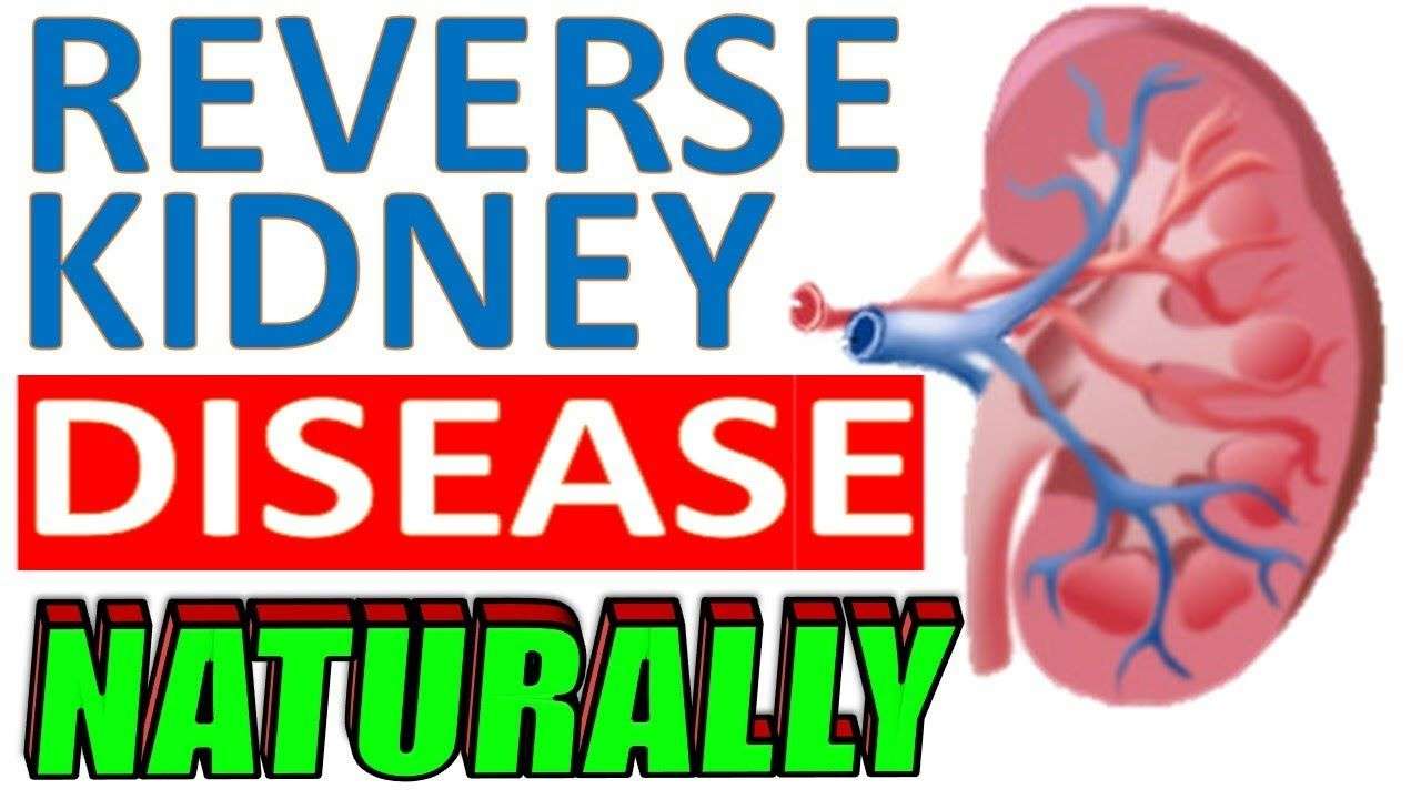 How to Reverse Kidney Disease Naturally &  Improve Kidney Function ...